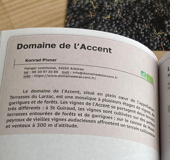 Meilleurs vins bio - Domaine de l'Accent