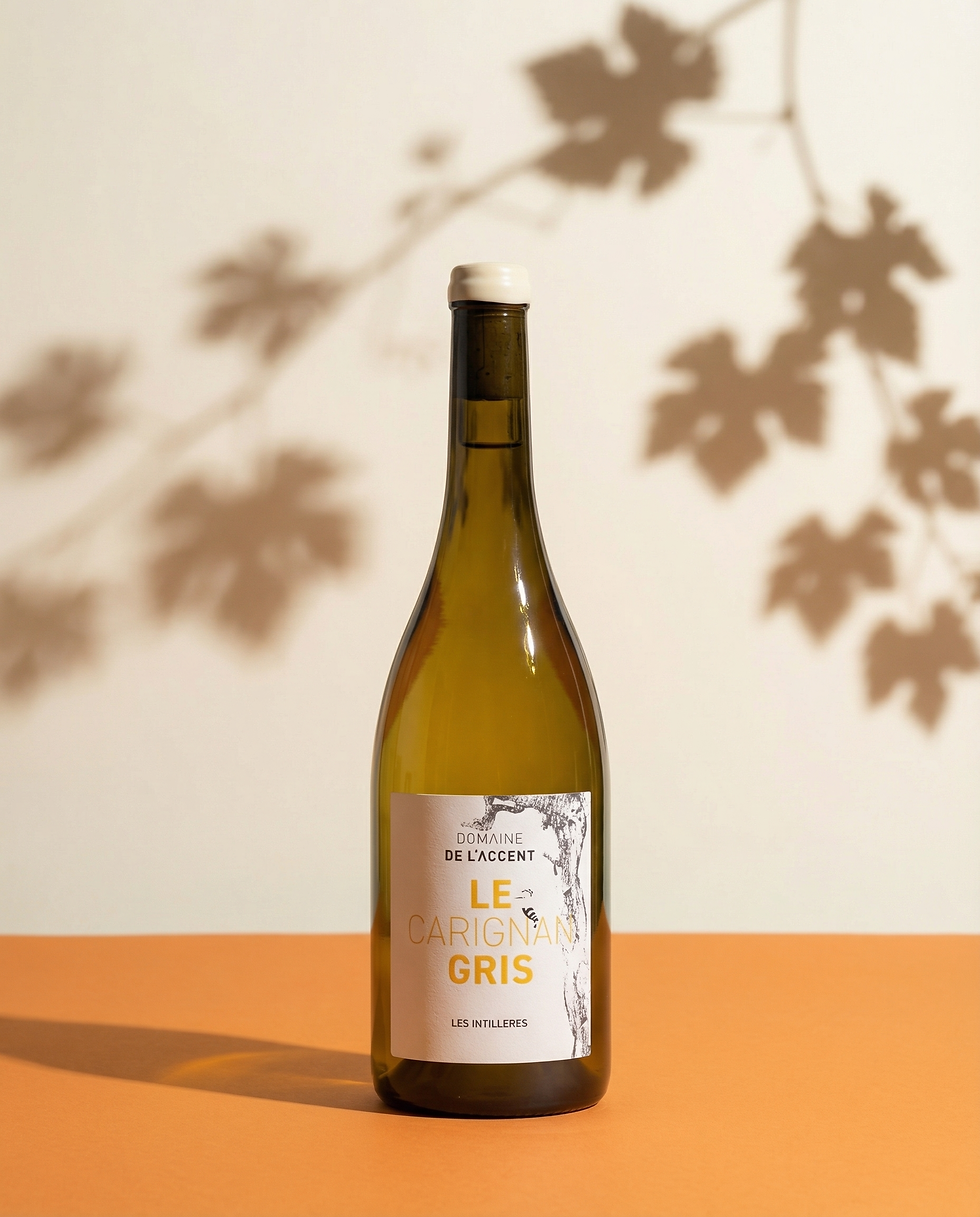 Carignan Gris 2023 -Blanc