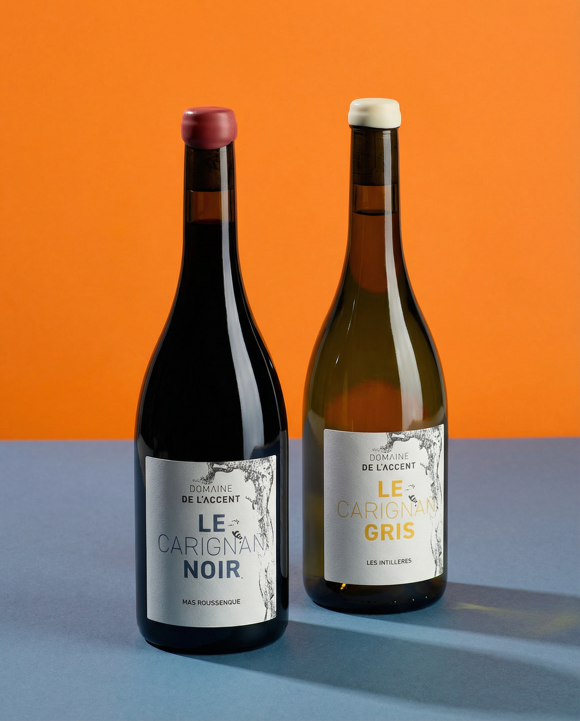 Duo Carignan gris & Carignan noir