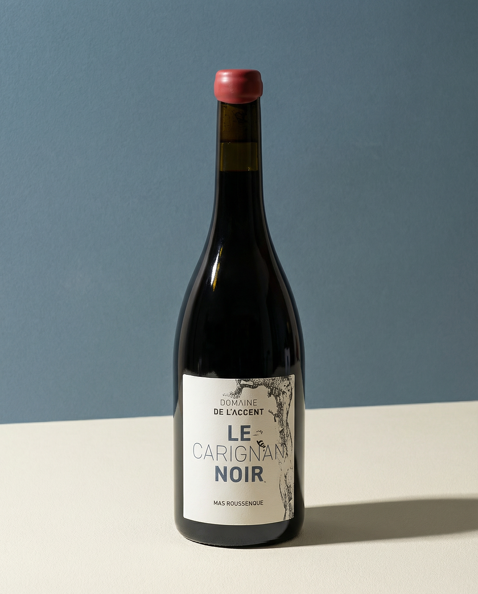 Carignan Noir 2023 - Rouge