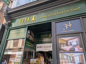 York Lucky Cats