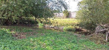 20250916_131725.jpg