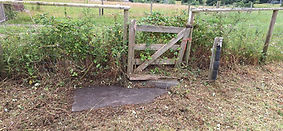 Wern Ddu Stepover Repair and Strimming_Rhyl and St Asaph Angling July 2025_014.jpg