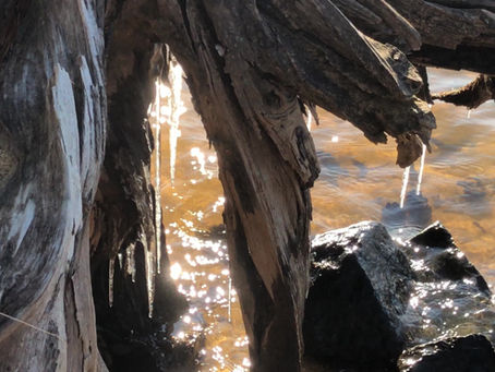 Evening Natural Minute 11/13/2019