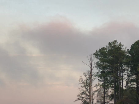 Morning Natural Minute 11/07/2019