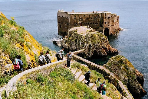 Berlengas caminhadas.jpg