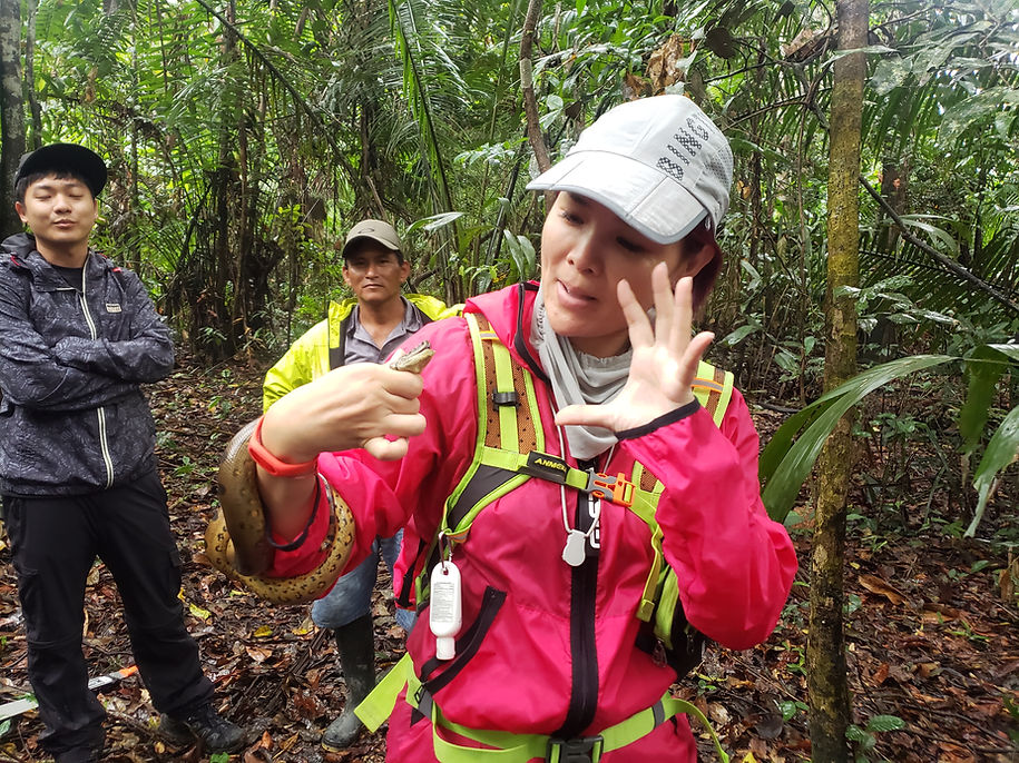 Caminata en la Selva