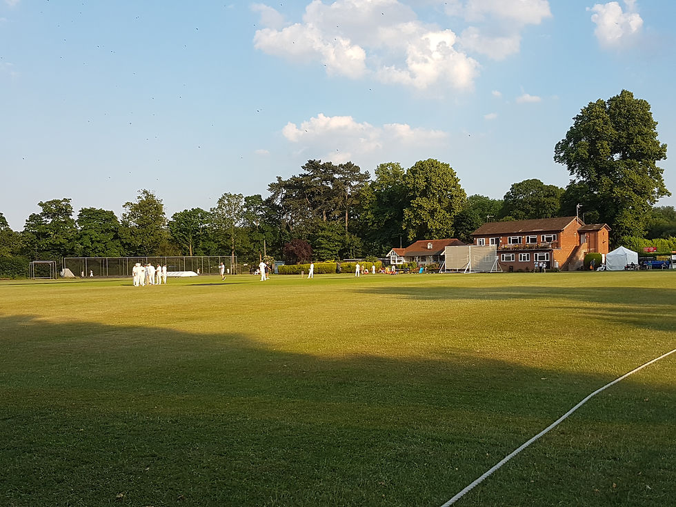 Main and Old Pavillion from outfield 3 (Willcox).jpg