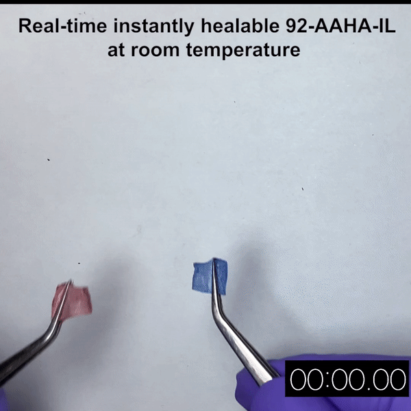 Sustainable Polymers