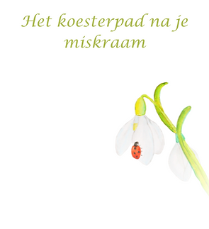 logo Miskraam .png