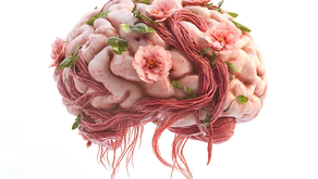 Het hoogsensitieve brein