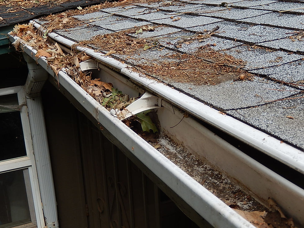 Unmaitained-gutter.jpg