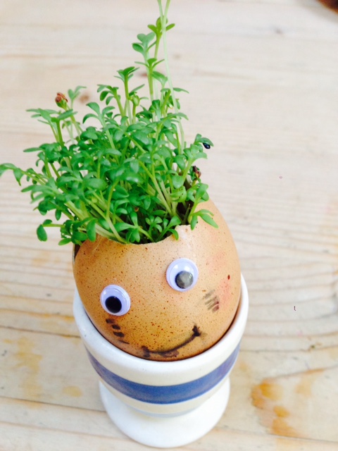 small egg cup