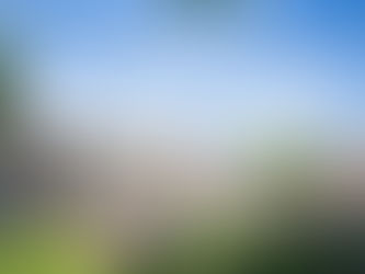 Feeding The 5000 (well 4,324 actually!)