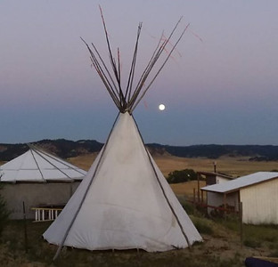 Wild Rose Center Montana