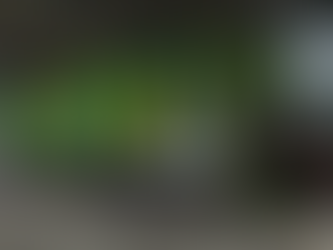 Moffett Mitnahmstapler für SCS Trailer Curtainsider Dryvan Dryvan S Pritsche Isoliert Reefer Walkingfloor Krone Profiler Dryliner Coolliner Profiler HD Schwarzmüller Curtainsider Reefer