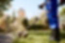 gardener-with-weedwacker-cutting-grass-garden.jpg