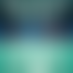 Players on badminton court