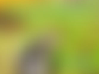 Ecologically Managing Invasive Species Part 1: Problem or Symptom?