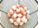 Basket of fresh farm eggs from free-range chickens