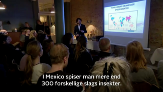 Jakob Rukov Foredrag om insekter TV2