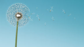 RENAC – TRANSFERRING KNOWLEDGE FOR A SUSTAINABLE FUTURE