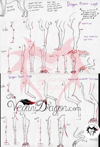 Dragon Leg Tutorial With Watermark.jpeg