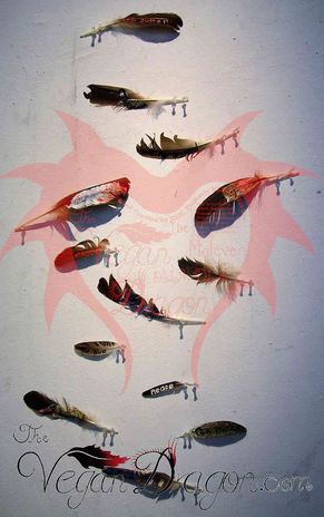 Feathers With Watermark.jpeg