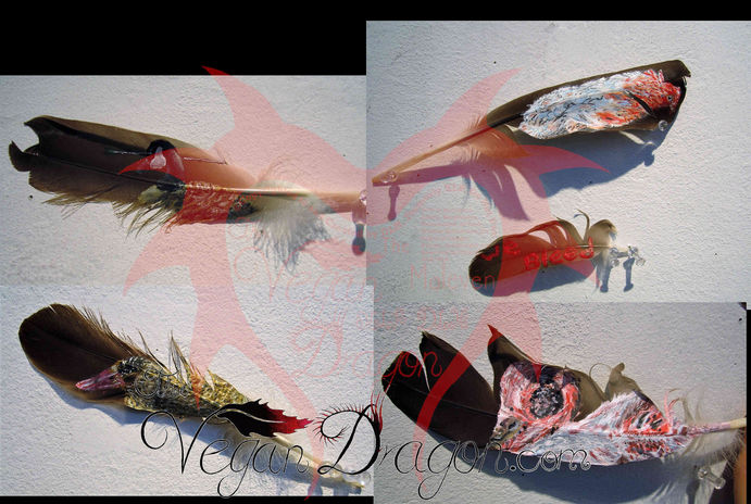 Feathers Closeup With Watermark.jpeg
