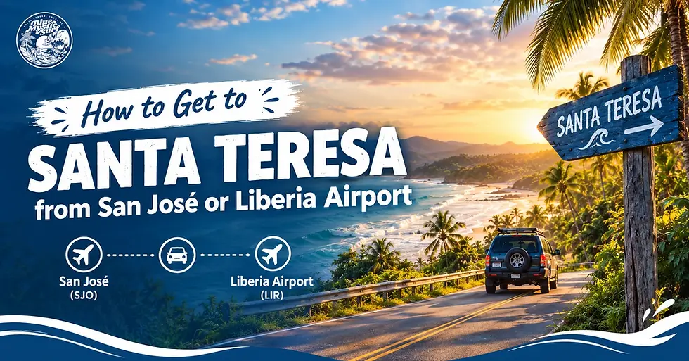 How to Get to Santa Teresa from San José or Liberia Airport