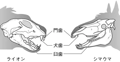 rectangle_large_type_2_c588c8a120f447dad0e17da866f6e92b.jpeg.webp
