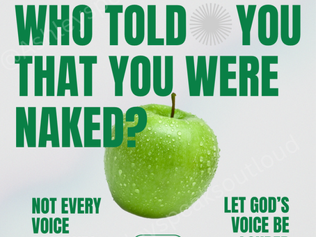 Voices In The New Year