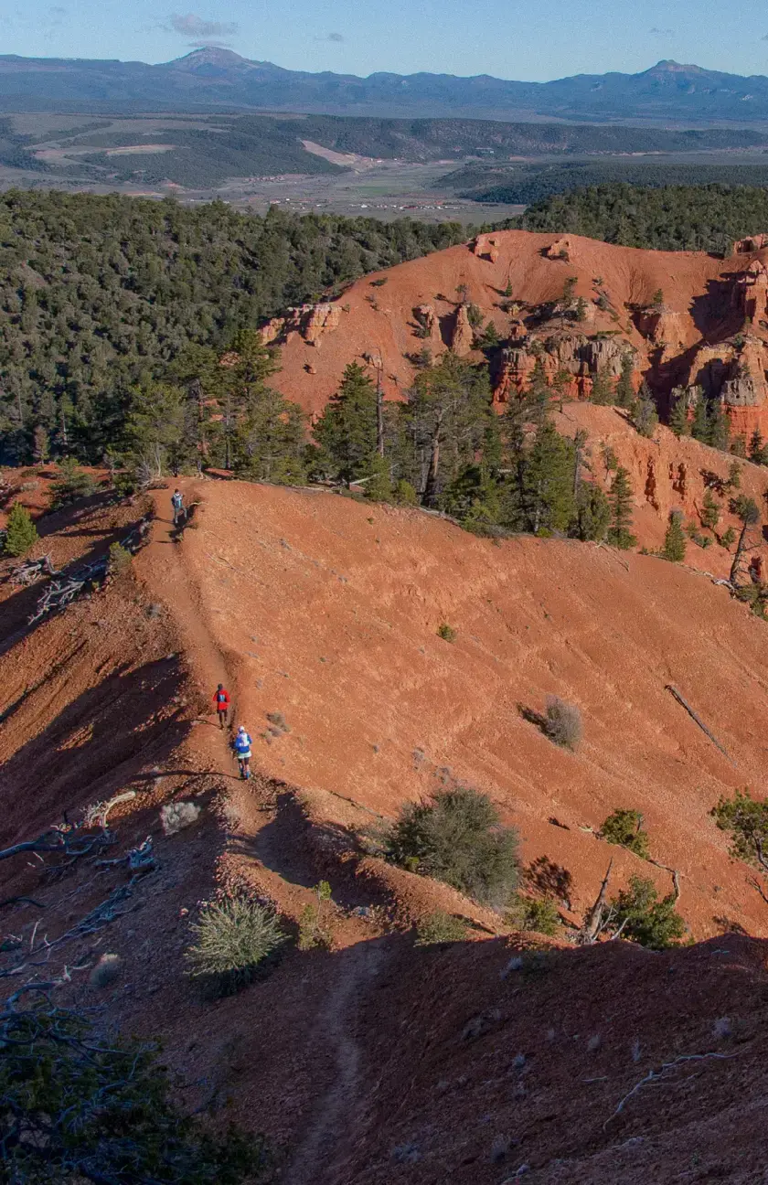 Testimonial BG 2.webp