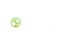 fcotransparent.png
