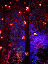 Jack-O'-Lanterns hanged on a Tree