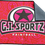 Thumbnail: Microfibe  GI