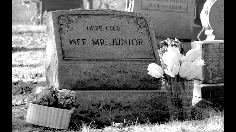 Who Got The Whoops! an epilogue...