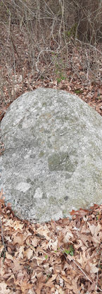 20220423_184414.jpg