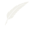 Feather ink & quill graphic