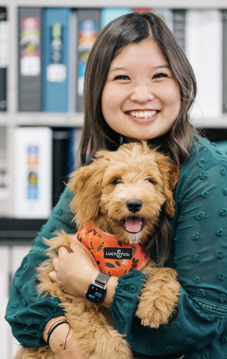 Advizer Hong's profile picture