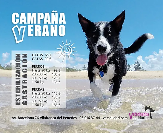 Nuestras Campanas Veterinarios Solidarios