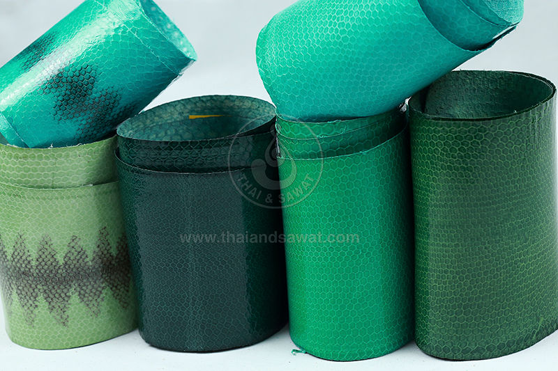 Thumbnail: Sea Snake, with Natural Pattern