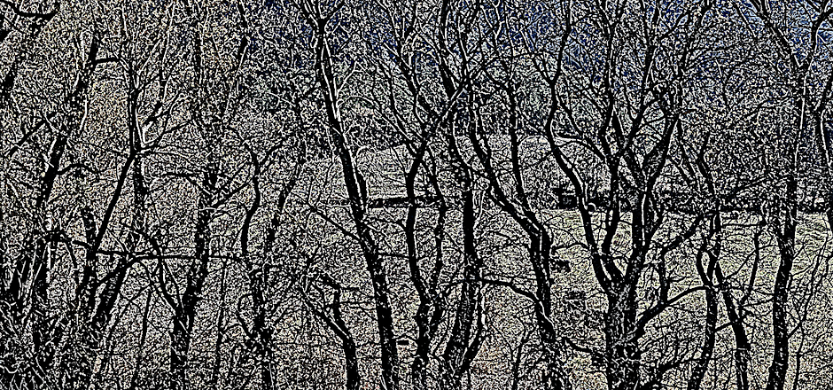 DSC01149-2.png