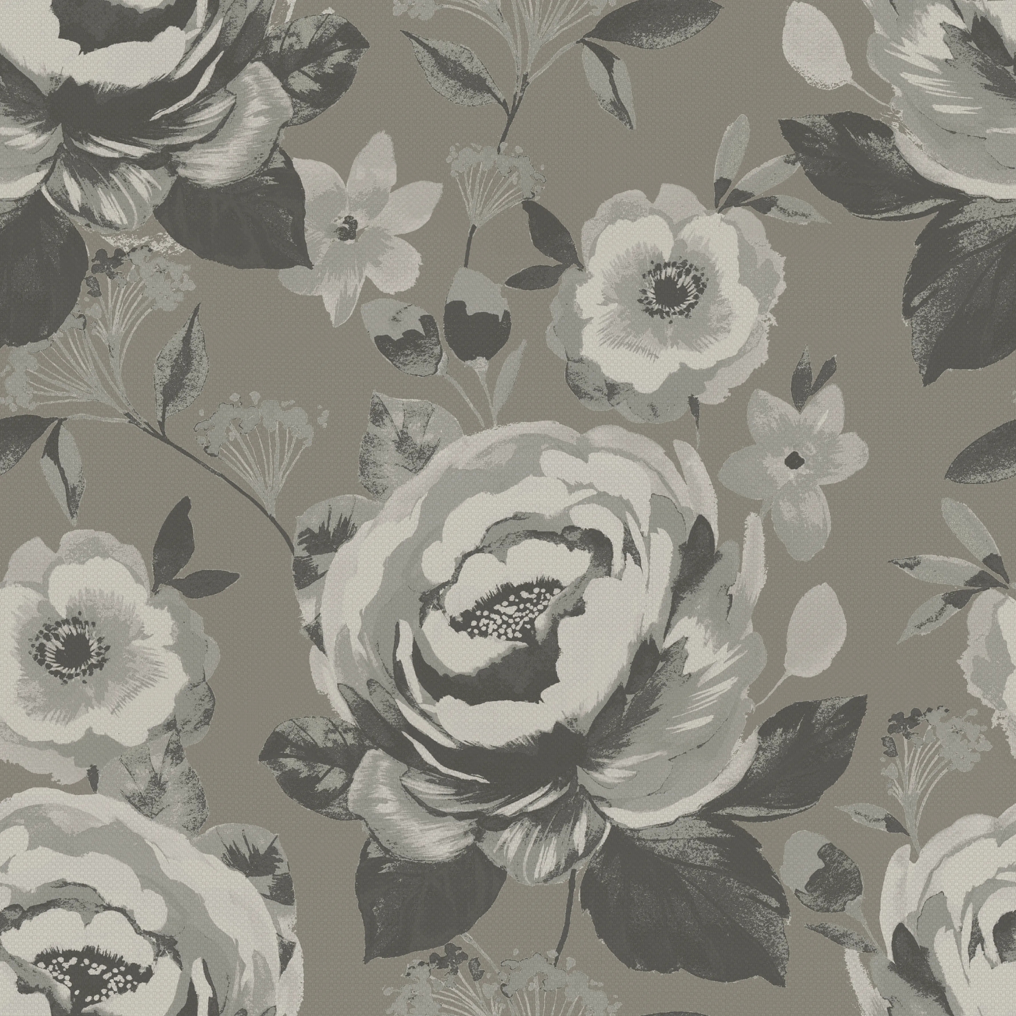 ACACIA-GREYSTONE.webp