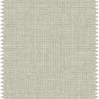 ACCENTE_706