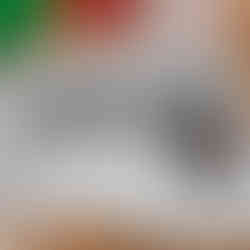 Zapper's first coat of paint