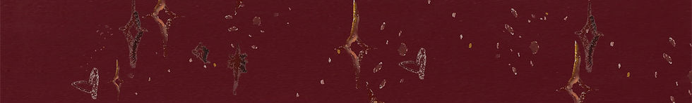 IMG_4629.jpeg