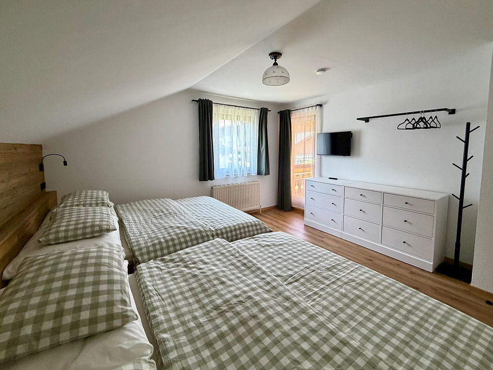 Schlafzimmer 1 im Ferienhaus Haus im Ennstal mit zwei Doppelbetten, Kommode, TV und Zugang zum Balkon