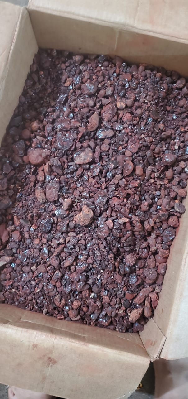 Rare Socotra Dragon blood resins 500g