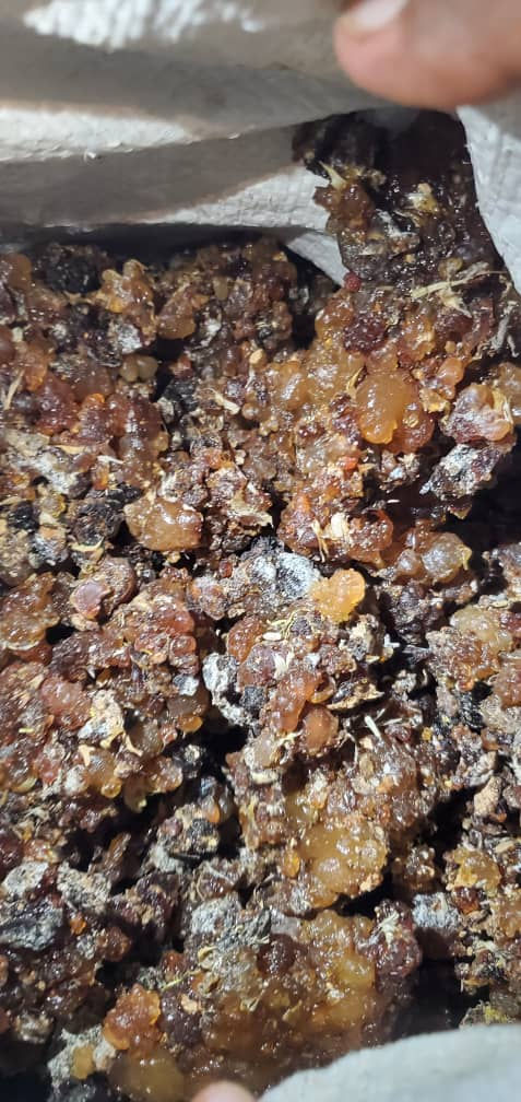 Thumbnail: Socotra rare fresh Commiphora kau myrrh 1kg